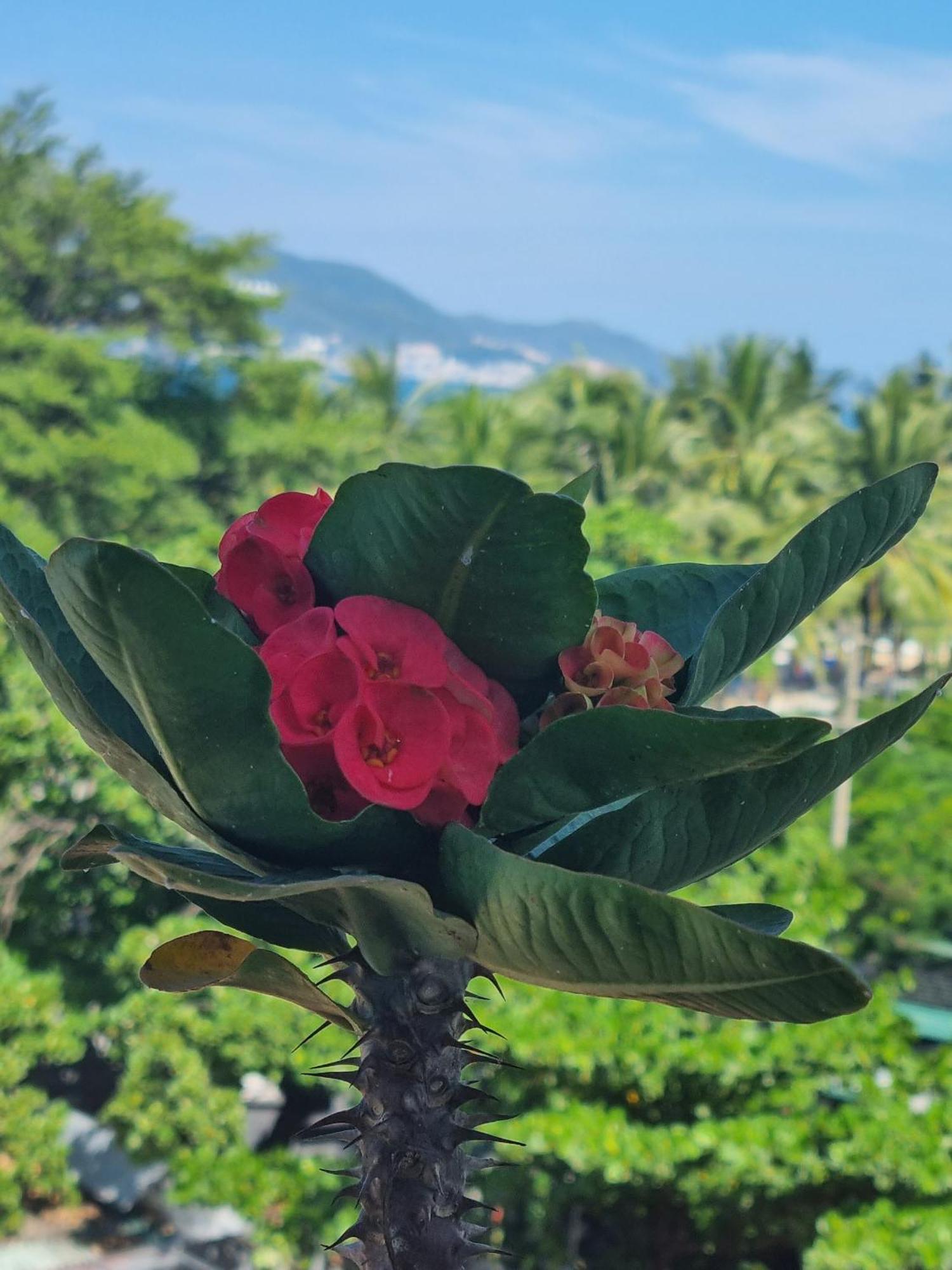 Pho Bien Hotel Nha Trang Exterior foto